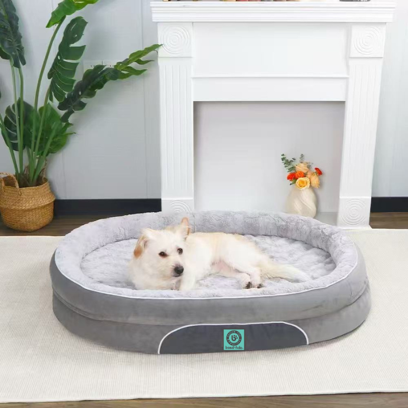 pet-supplies-australia-dog-bed-bonofido-bindipetz Pet supplies Australia – Bono Fido dog bed with golden retriever in modern living room, from BindiPetZ