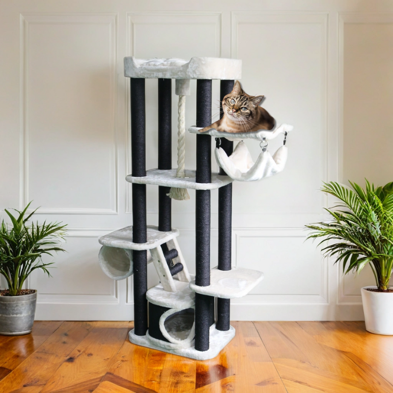 Pet Supplies